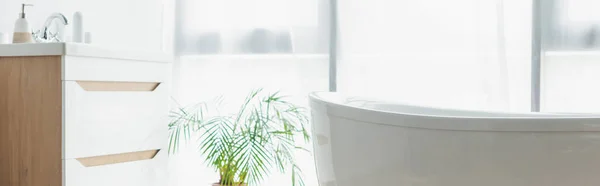 Baignoire blanche près de l'évier avec articles de toilette et plante verte dans la salle de bains, bannière — Photo de stock
