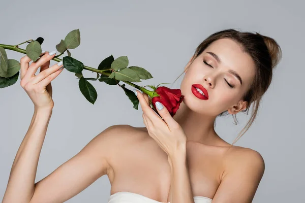 Чуттєва жінка з червоними губами і закритими очима тримає свіжу троянду ізольовано на сірому — стокове фото