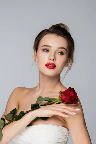 Чуттєва молода жінка в плавній верхній позі з червоною трояндою ізольована на сірому — стокове фото