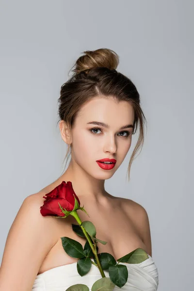 Charming woman in strapless top looking at camera near red rose isolated on grey — Stock Photo