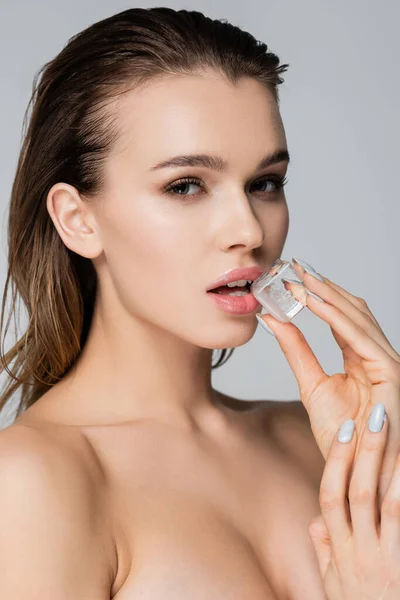 Charming woman with wet hair holding ice cube near lips while looking at camera isolated on grey — Stock Photo