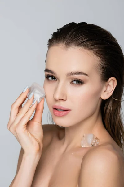 Bonita mujer con el pelo mojado y el cubo de hielo mirando a la cámara aislada en gris - foto de stock