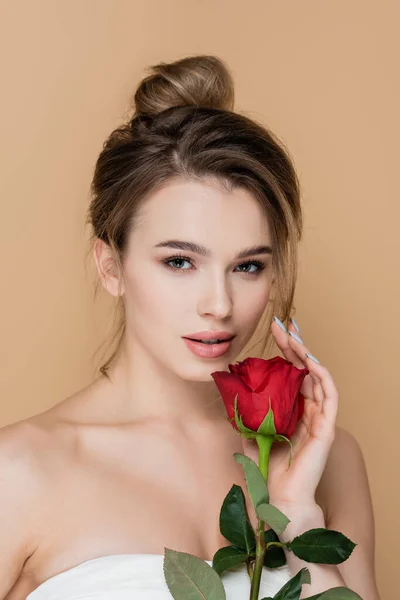 Charming woman with naked shoulders looking at camera near red rose isolated on beige — Stock Photo
