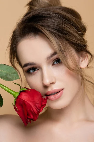 Close up portrait of young woman with natural makeup looking at camera near red rose isolated on beige — Stock Photo