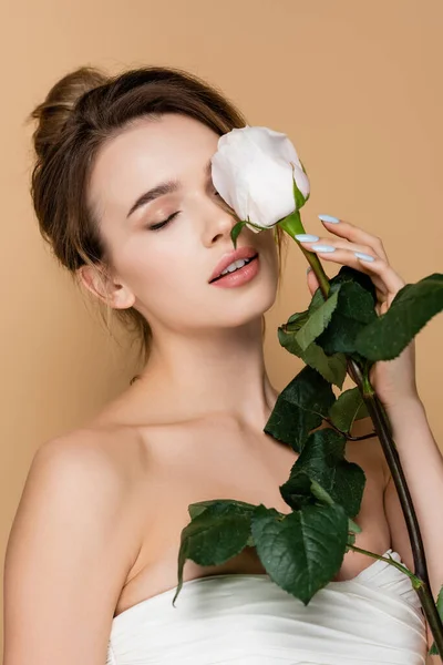 Молода жінка з натуральним макіяжем тримає білу троянду біля обличчя ізольовано на бежевому — стокове фото