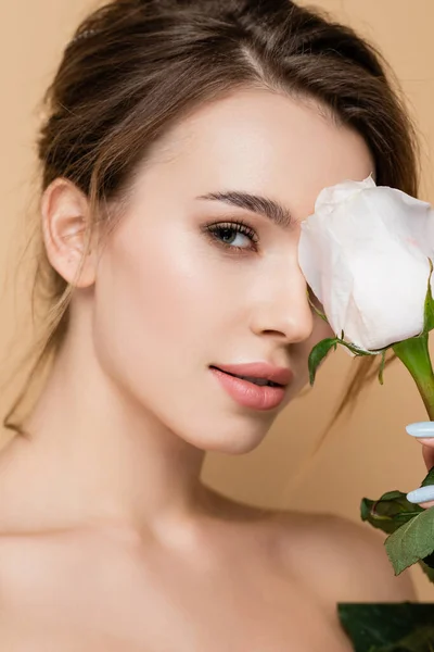 Portrait rapproché de charmante femme avec rose blanche près du visage isolé sur beige — Photo de stock