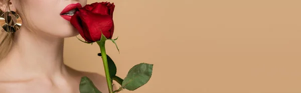 Vista ritagliata di giovane donna con rosa rossa vicino alle labbra isolate sul beige, striscione — Foto stock