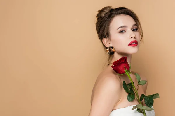 Bonita jovem mulher em strapless top segurando vermelho rosa e olhando para a câmera isolada no bege — Fotografia de Stock