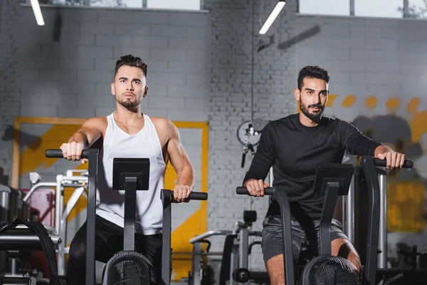 Multiethnic sportsmen training on elliptical trainers in gym — Stock Photo