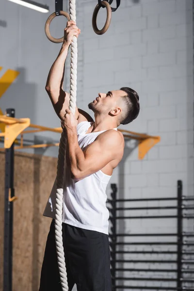 Side view of athletic sportsman climbing on rope in gym — Stock Photo