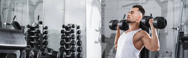 Sportsman lifting dumbbells near sports equipment in gym, banner — Stock Photo