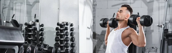 Deportista levantando pesas cerca de equipos deportivos en el gimnasio, pancarta - foto de stock