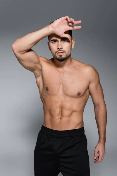 Muscular and bearded sportsman standing isolated on grey — Stock Photo