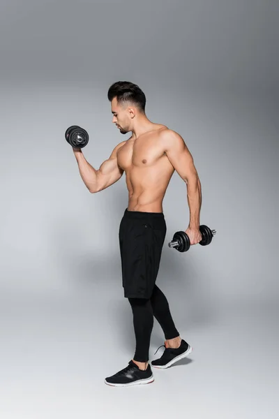 Полная длина без рубашки и мускулистый спортсмен упражнения с гантелями на сером — стоковое фото