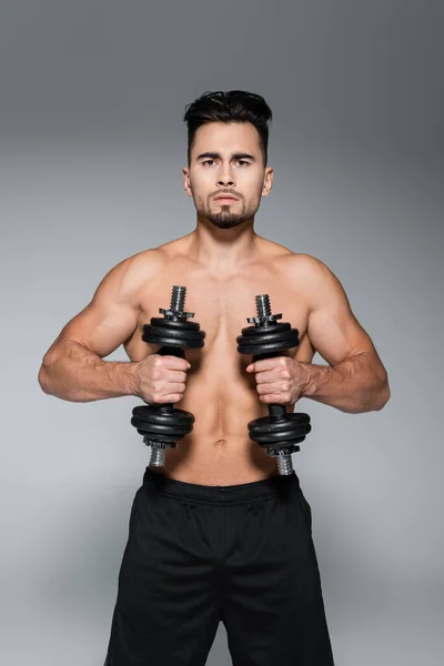 Shirtless and muscular sportsman working out with dumbbells on grey — Stock Photo