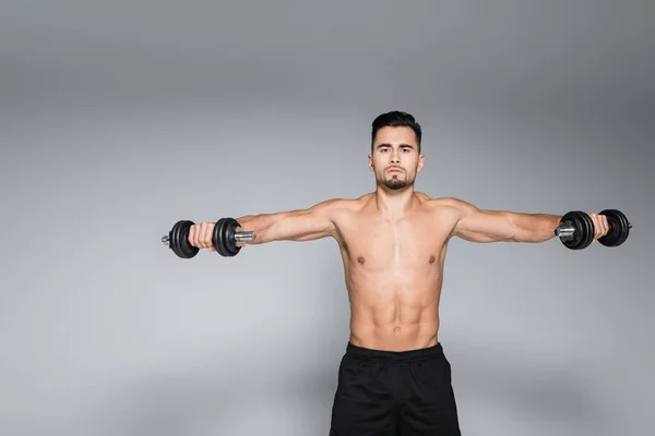 Deportista barbudo y musculoso haciendo ejercicio con pesas sobre gris - foto de stock