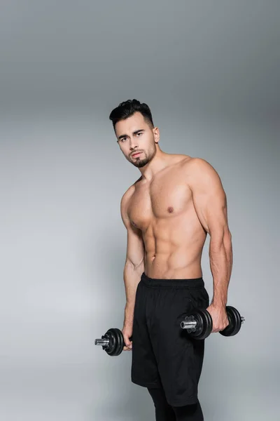 М'язистий і сильний спортсмен тримає гантелі на сірому — стокове фото