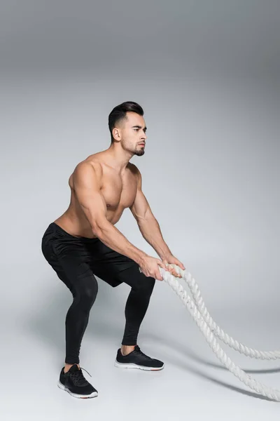 Full length of strong bearded sportsman training with battle ropes on grey — Stock Photo