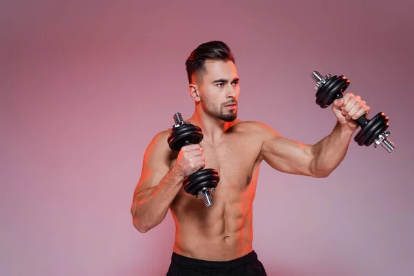 Strong sportsman boxing with dumbbells on pink and grey — Stock Photo