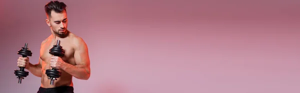 Desportista sem camisa trabalhando com halteres em rosa e cinza, banner — Fotografia de Stock