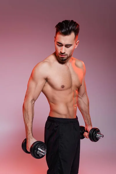 Strong sportsman working out with dumbbells on pink and grey — Stock Photo