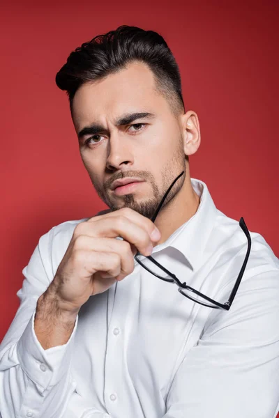 Uomo d'affari barbuto guardando la fotocamera e tenendo gli occhiali isolati su grigio — Foto stock