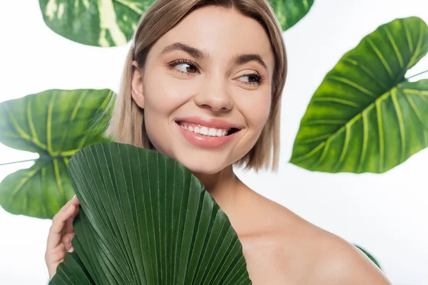 Happy young woman with bare shoulder near green tropical leaves on white — Stock Photo