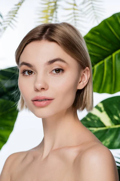 Young woman with clean skin looking at camera near green palm leaves on white — Stock Photo