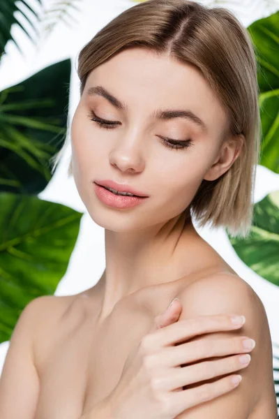 Чуттєва молода жінка з ідеальною шкірою біля зеленого пальмового листя на білому — стокове фото
