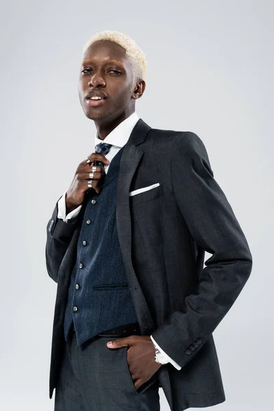 Biondo afro americano uomo in abito formale di regolazione cravatta e posa con mano in tasca isolato su grigio — Foto stock