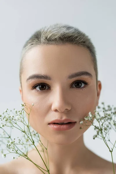 Nahaufnahme Porträt einer jungen Frau mit natürlichem Make-up in der Nähe weißer Zigeunerblumen isoliert auf grau — Stockfoto