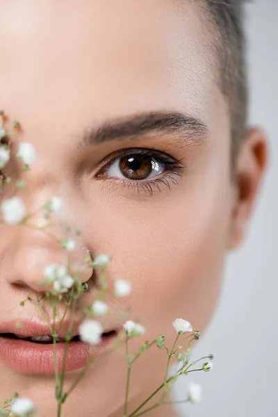 Vista de cerca de la cara femenina recortada cerca de pequeñas flores blancas aisladas en gris - foto de stock
