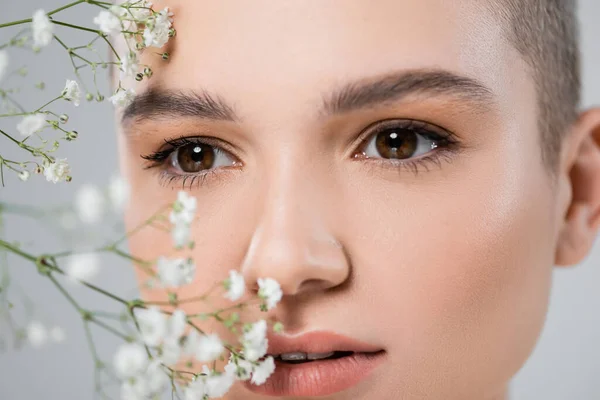 Close up view of tiny gypsophila flowers near woman with natural makeup isolated on grey — Stock Photo