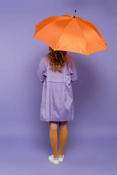 Back view of young woman in trench coat standing under orange umbrella on purple — Stock Photo