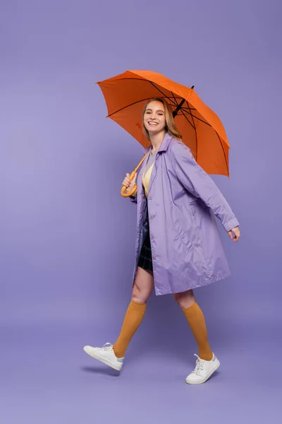 Longitud completa de alegre mujer joven en gabardina caminando bajo paraguas naranja en púrpura - foto de stock