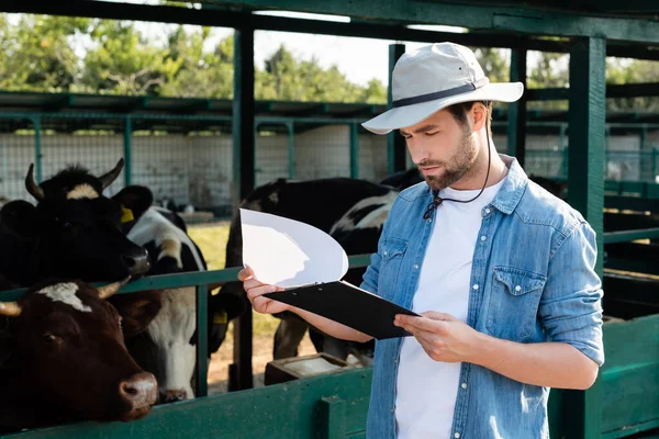 Contadino in cappello di paglia guardando appunti vicino alle mucche in azienda — Foto stock