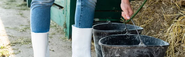 Partial view of farmer near buckets and hay, banner — Stock Photo