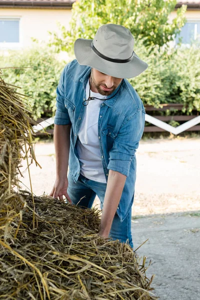 Фермер в джинсовой рубашке и шляпе проверяет сено на ферме — стоковое фото