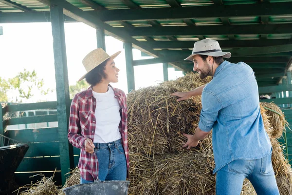 Happy farmer stacking hay near african american woman with bucket — Stock Photo