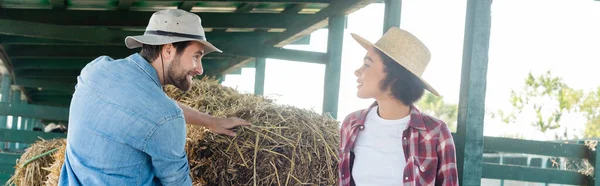Счастливый фермер глядя на африканских американских коллег около стога сена на ферме, баннер — стоковое фото