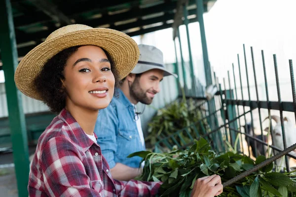 Happy african american farmer looking at camera near manger and blurred colleague — Stock Photo