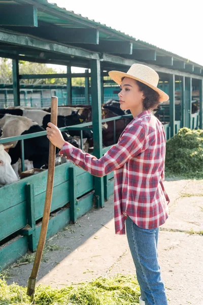 Vista lateral de mujer afroamericana en sombrero de paja cerca de vacas en establo - foto de stock