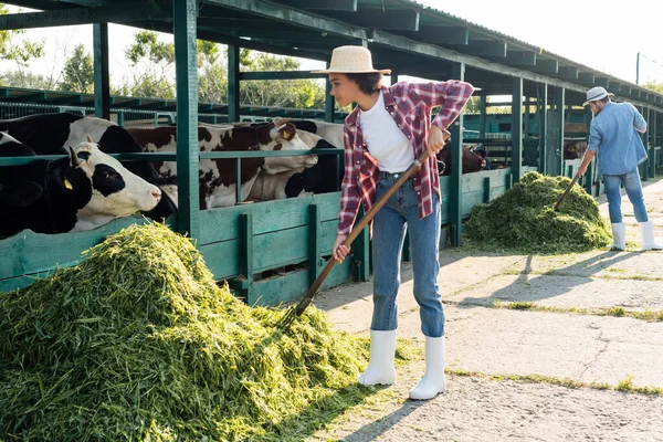 Ansicht junger multiethnischer Bauern, die Heu in der Nähe von Kuhställen stapeln — Stockfoto