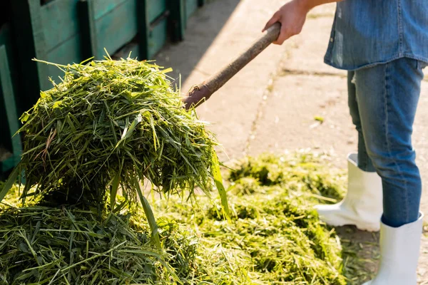 Zugeschnittene Ansicht eines Landwirts, der Heu stapelt, während er auf seinem Hof arbeitet — Stockfoto