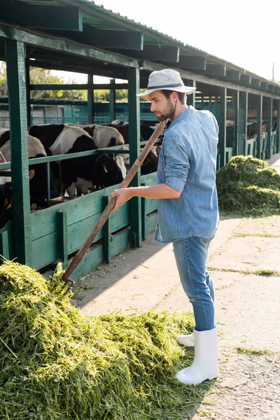 Ganzkörperansicht des Bauern mit Heugabel in der Nähe von Heu und Kuhstall — Stockfoto