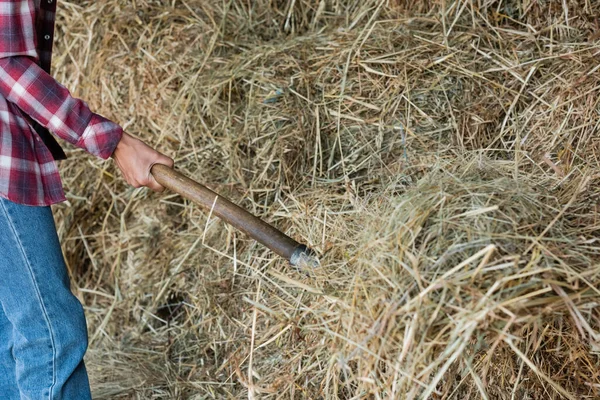 Vista recortada de agricultor afroamericano apilando heno en granja - foto de stock