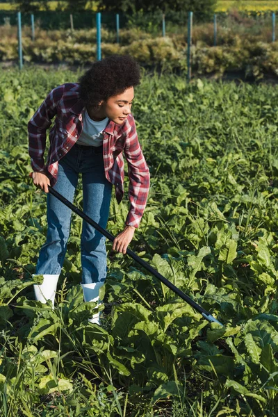 Young african american woman in plaid shirt cultivating plants in field — Stock Photo