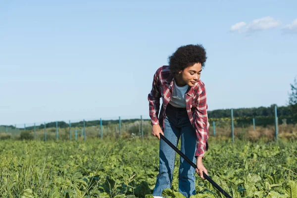 Mujer afroamericana en camisa a cuadros trabajando en el campo contra el cielo azul - foto de stock