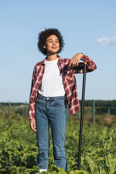 Femme américaine africaine positive en chemise à carreaux regardant loin tout en se tenant dans le champ — Photo de stock