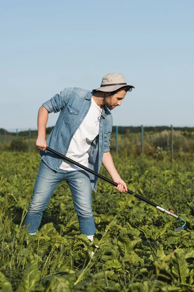 Vista completa del agricultor en ropa de mezclilla cultivando plantas en el campo — Stock Photo